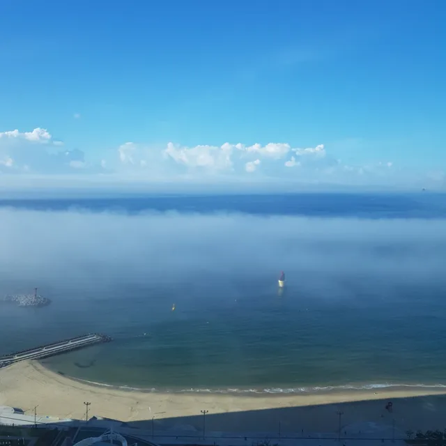 달빛