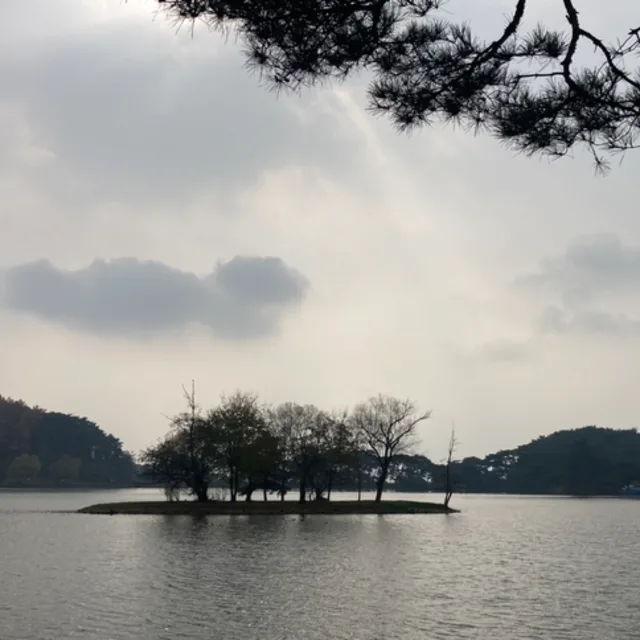 해달별