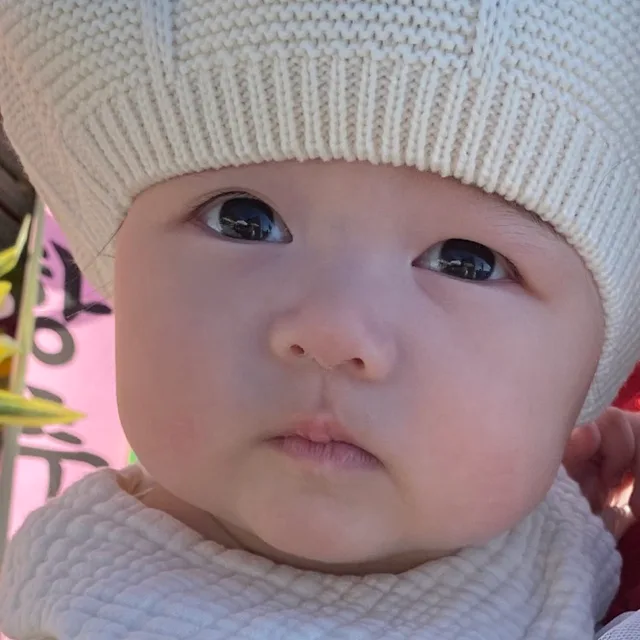놀란탄도