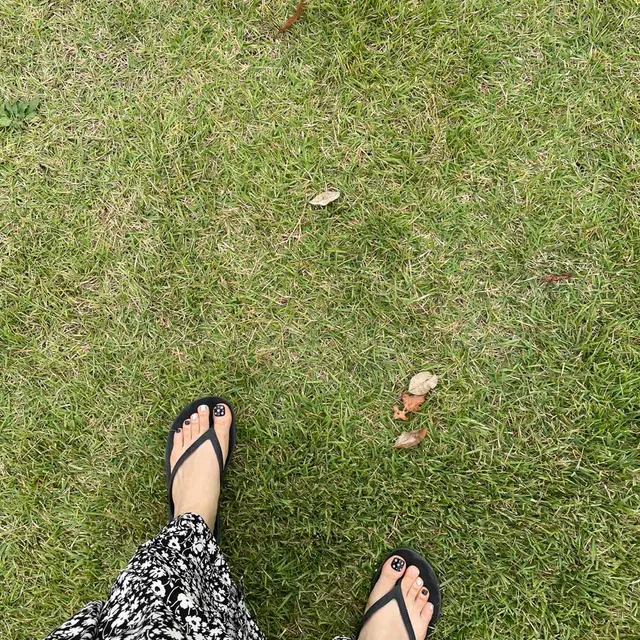 당근쪼아