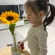 Mini홈발레