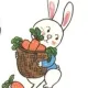 바니와니