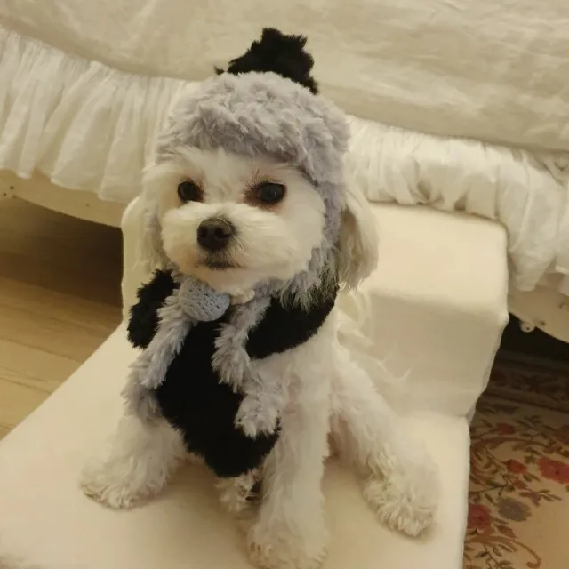 꽃때지