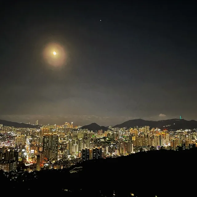 야옹아