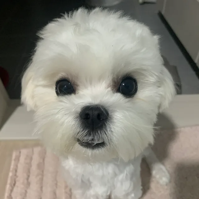 서두부만덕