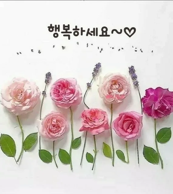 깡시현