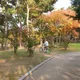 밥쟁이
