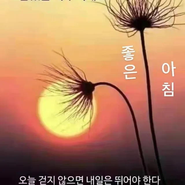hua7812분당