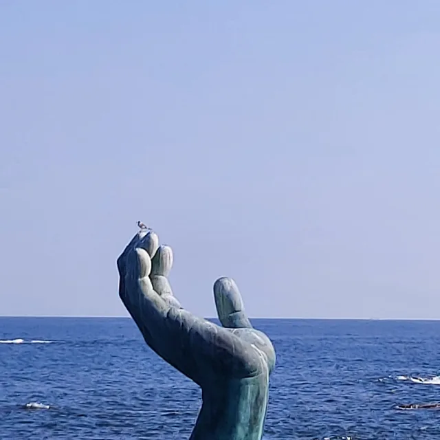 호원한신