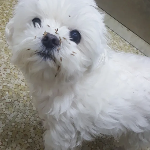 야너돈좀있냐