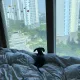 강낭콩
