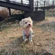 제니맘