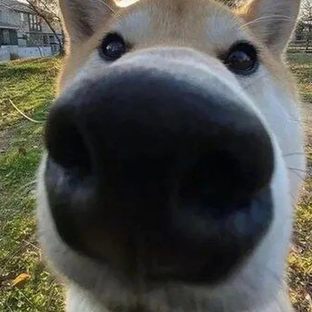 구딩