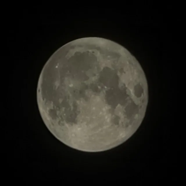 profile