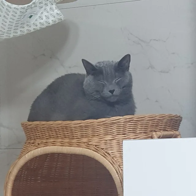 요미