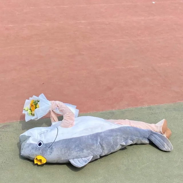 고등