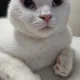 쥬엔