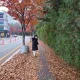 인어공주