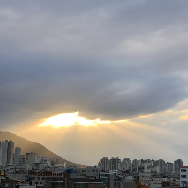 대림이편함