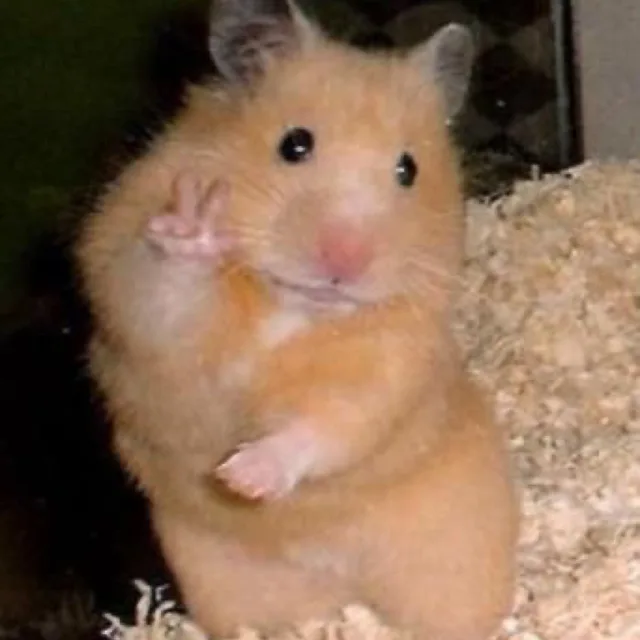 쁘이