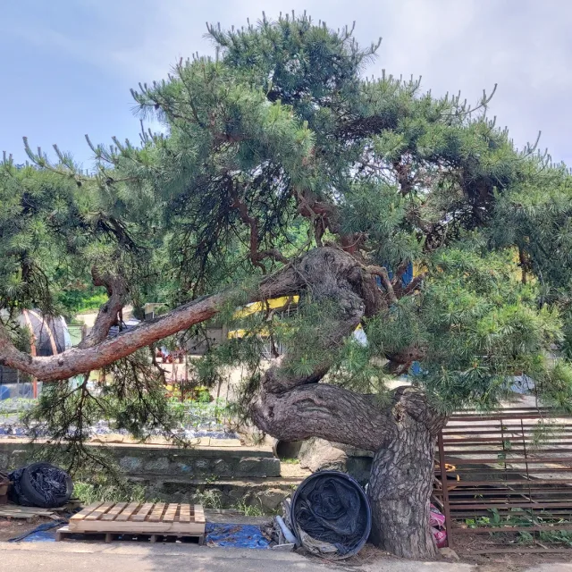 장비