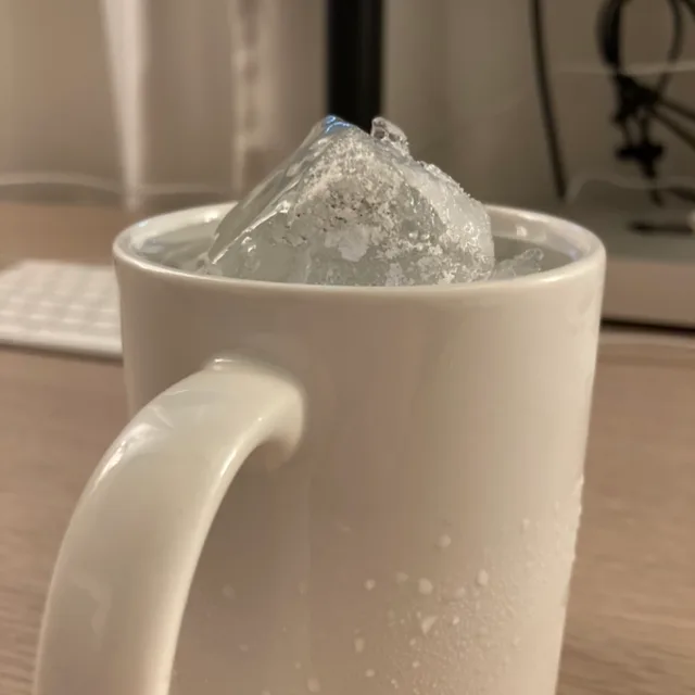 안졸리나젤리