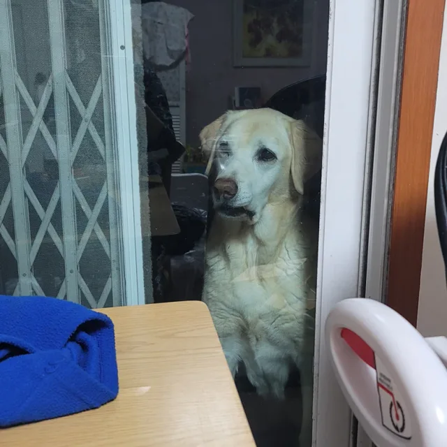 대박이네