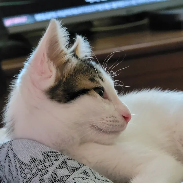 ella