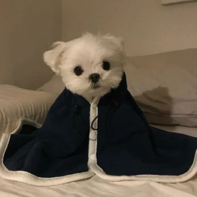근근이
