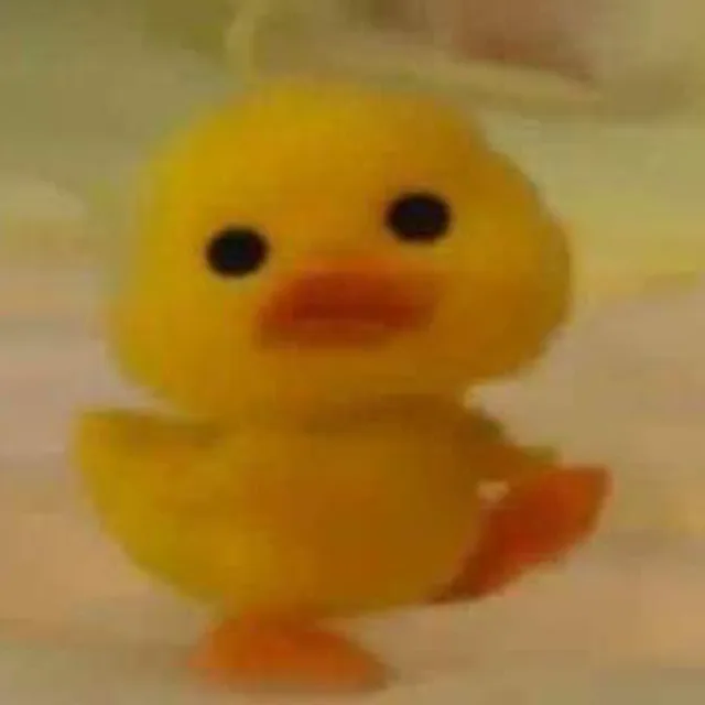뀨하이