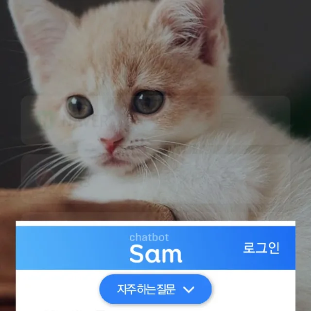 해운대이아손