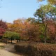 하이쩡