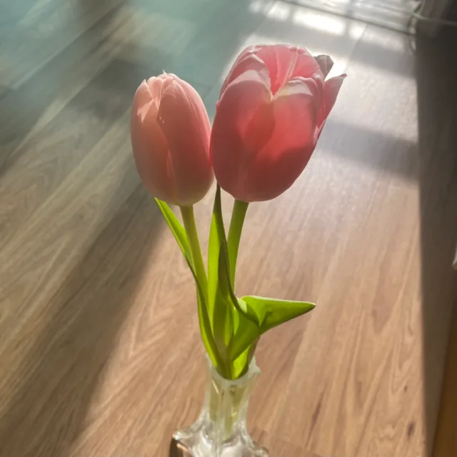 마토