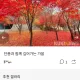 바라기
