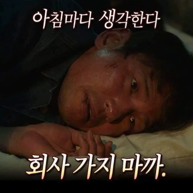 류향