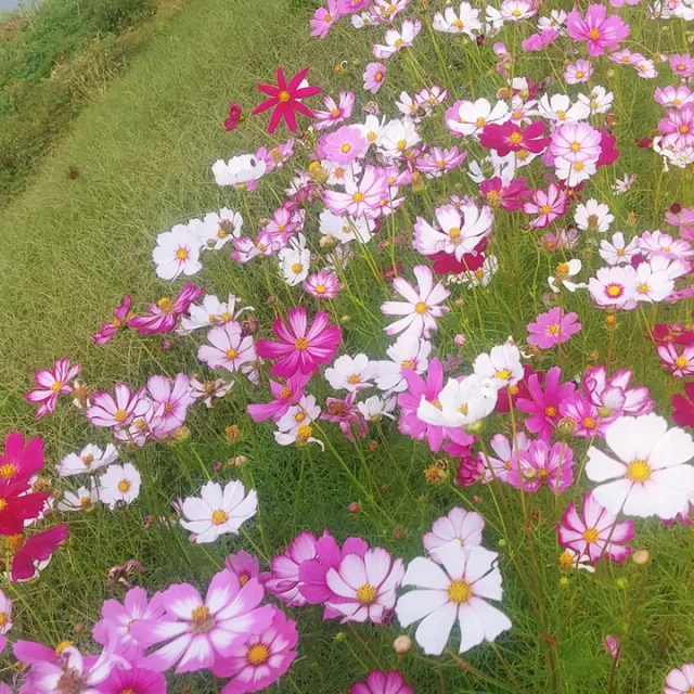 이사준비