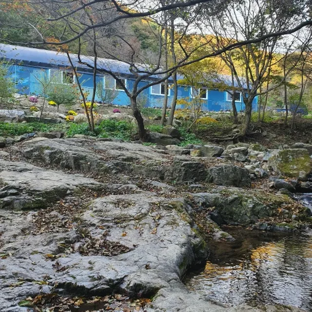 자연인