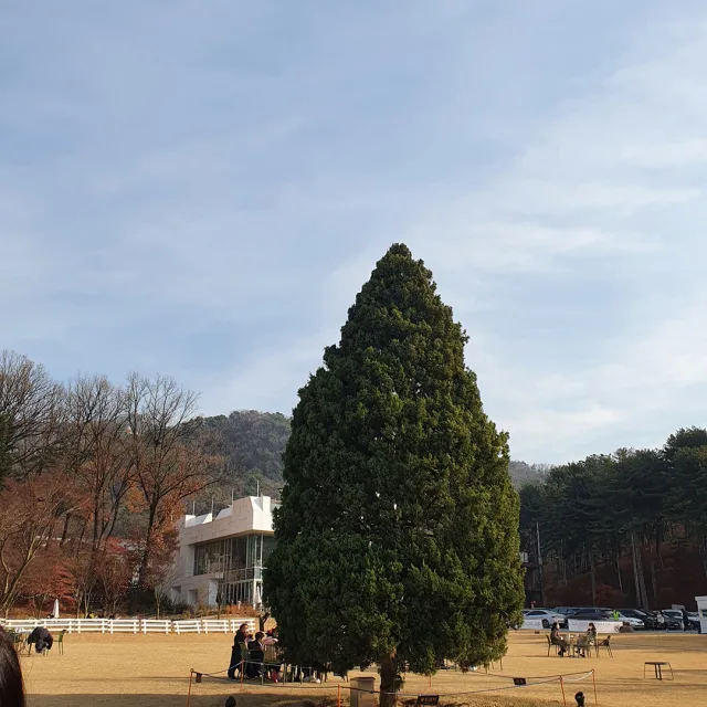 크림마니주세요