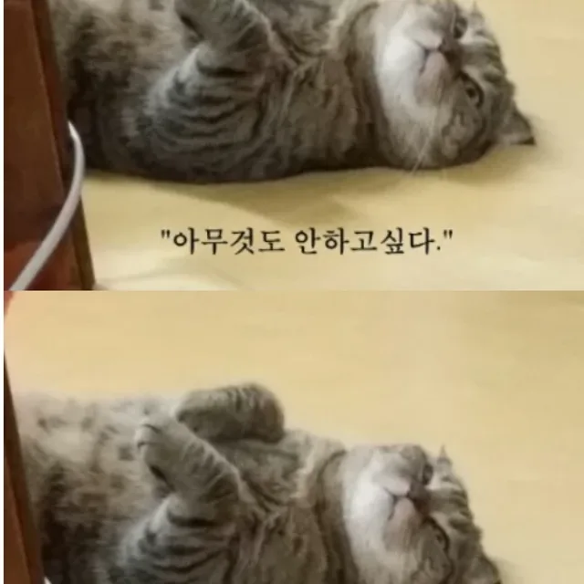 KS