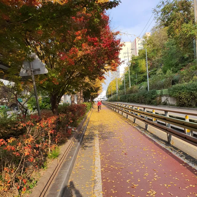 인왕아빠