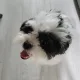 아가용
