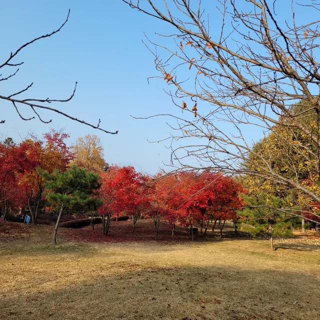 돌머리