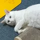 여름이아빠