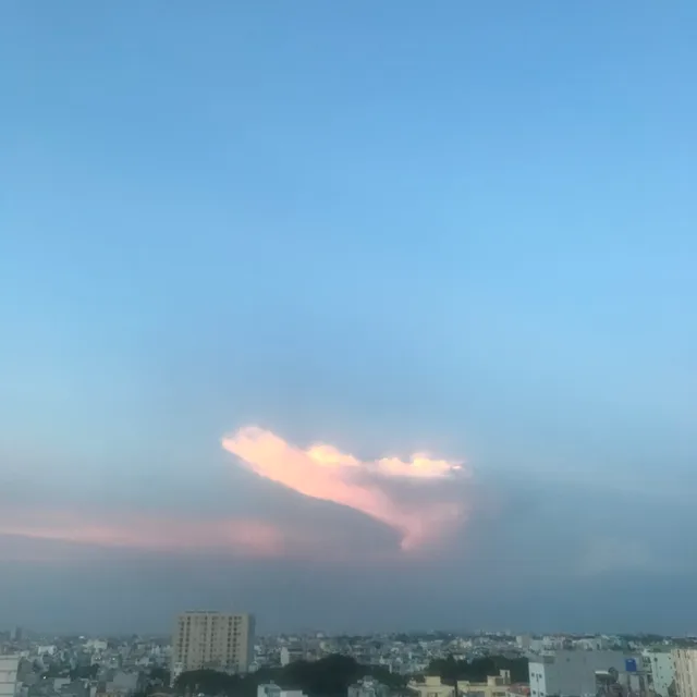 지속가능제품선호