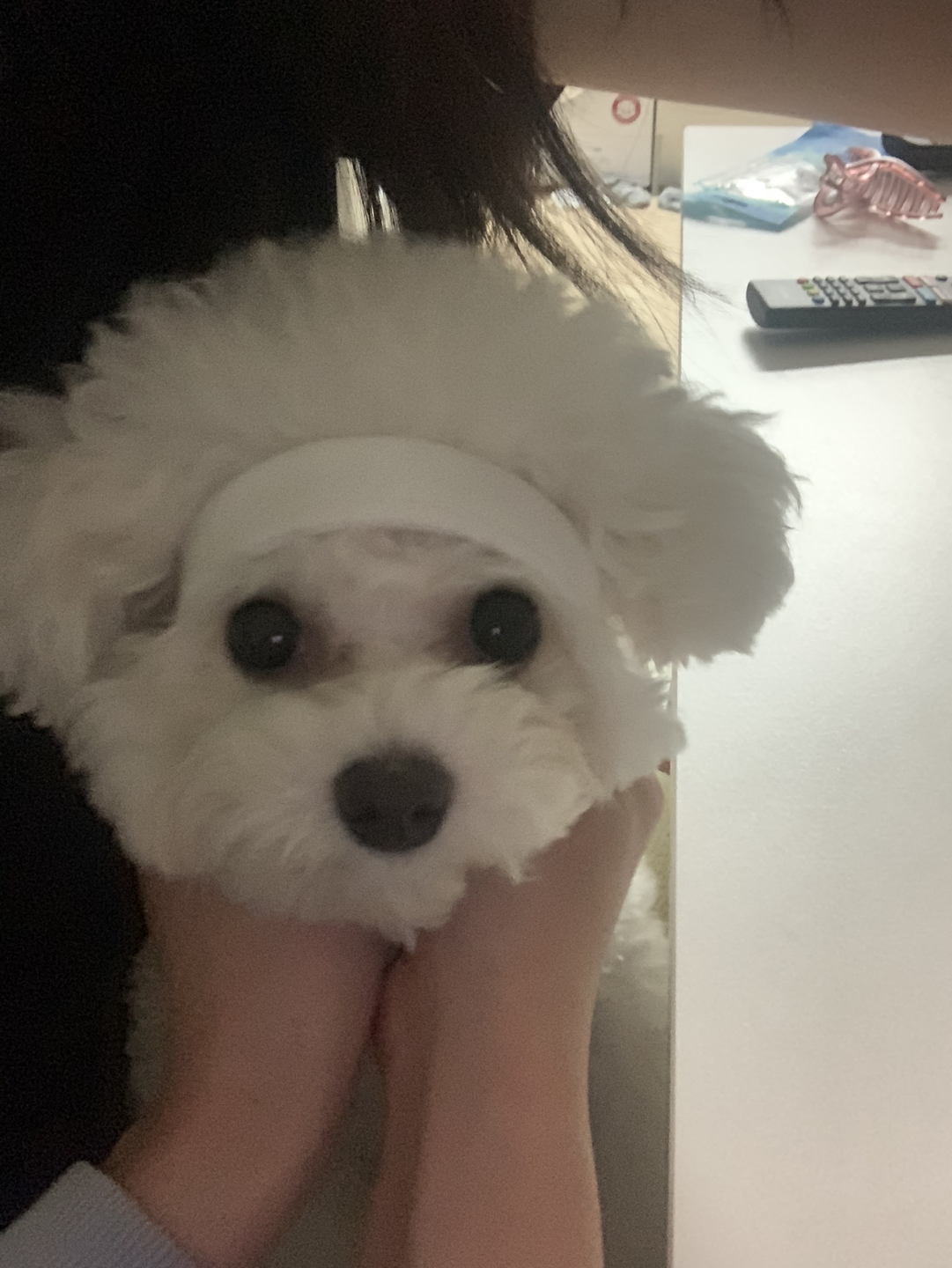 헛둘헛둘
