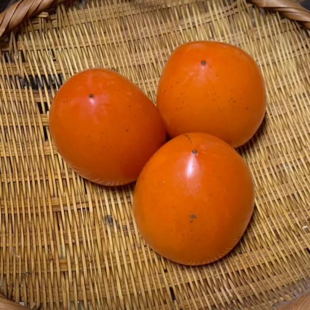 푸릇푸릇
