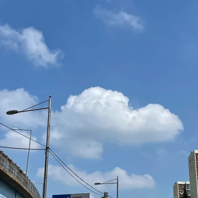 호이테
