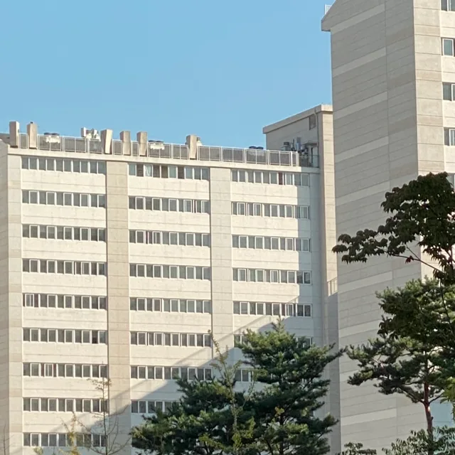 당근땅근