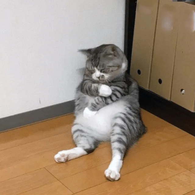 힐스남