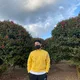 효윤